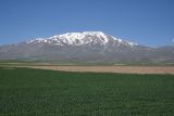 Image of landscape