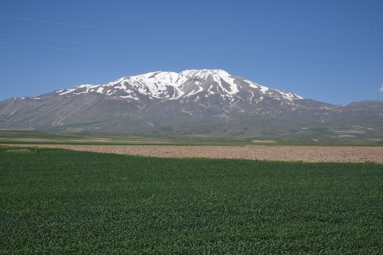 Айдынлар, image of landscape/habitat.
