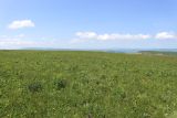 Джангур, image of landscape/habitat.