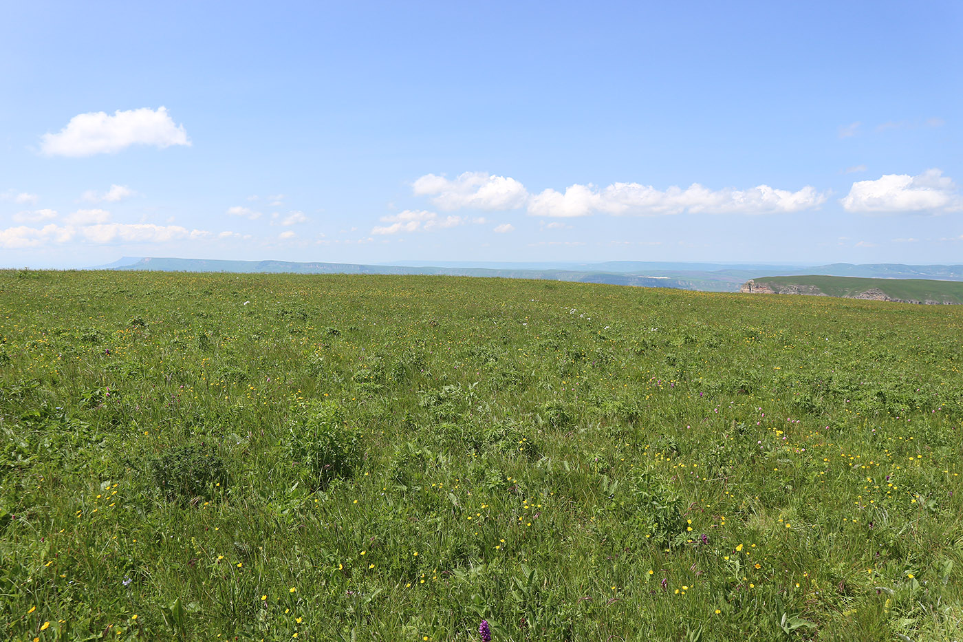 Джангур, image of landscape/habitat.