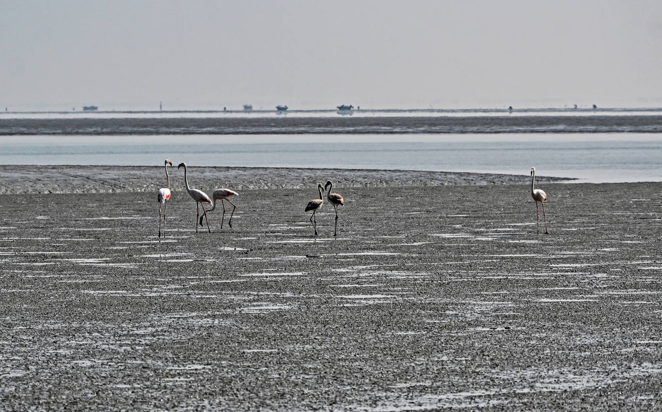 Лиссабон, изображение ландшафта.