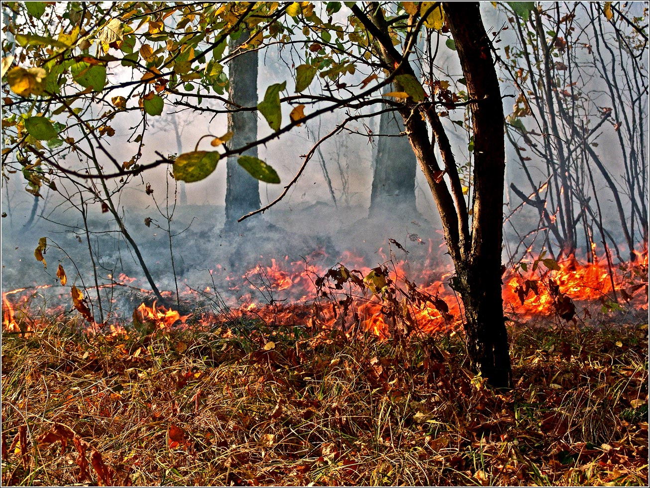 Окрестности Хрипани, изображение ландшафта.