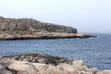 Image of landscape