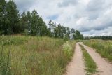 Залежь у Тиханово, image of landscape/habitat.