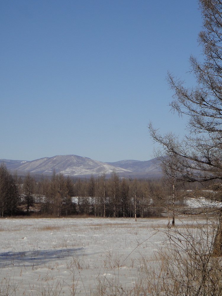 Окрестности Северного, image of landscape/habitat.
