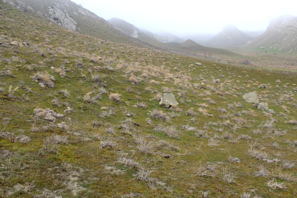 Шорбезен, image of landscape/habitat.