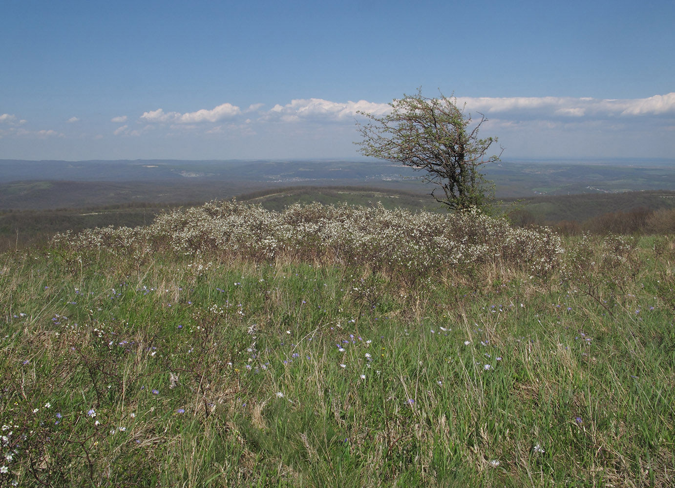 Гора Рябкова, image of landscape/habitat.