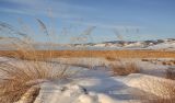 Окрестности Гусиноозерска, image of landscape/habitat.