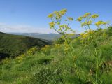 Image of landscape