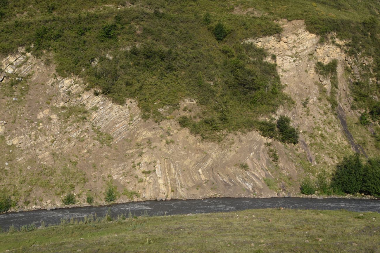 Шарой, image of landscape/habitat.