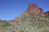 Image of landscape