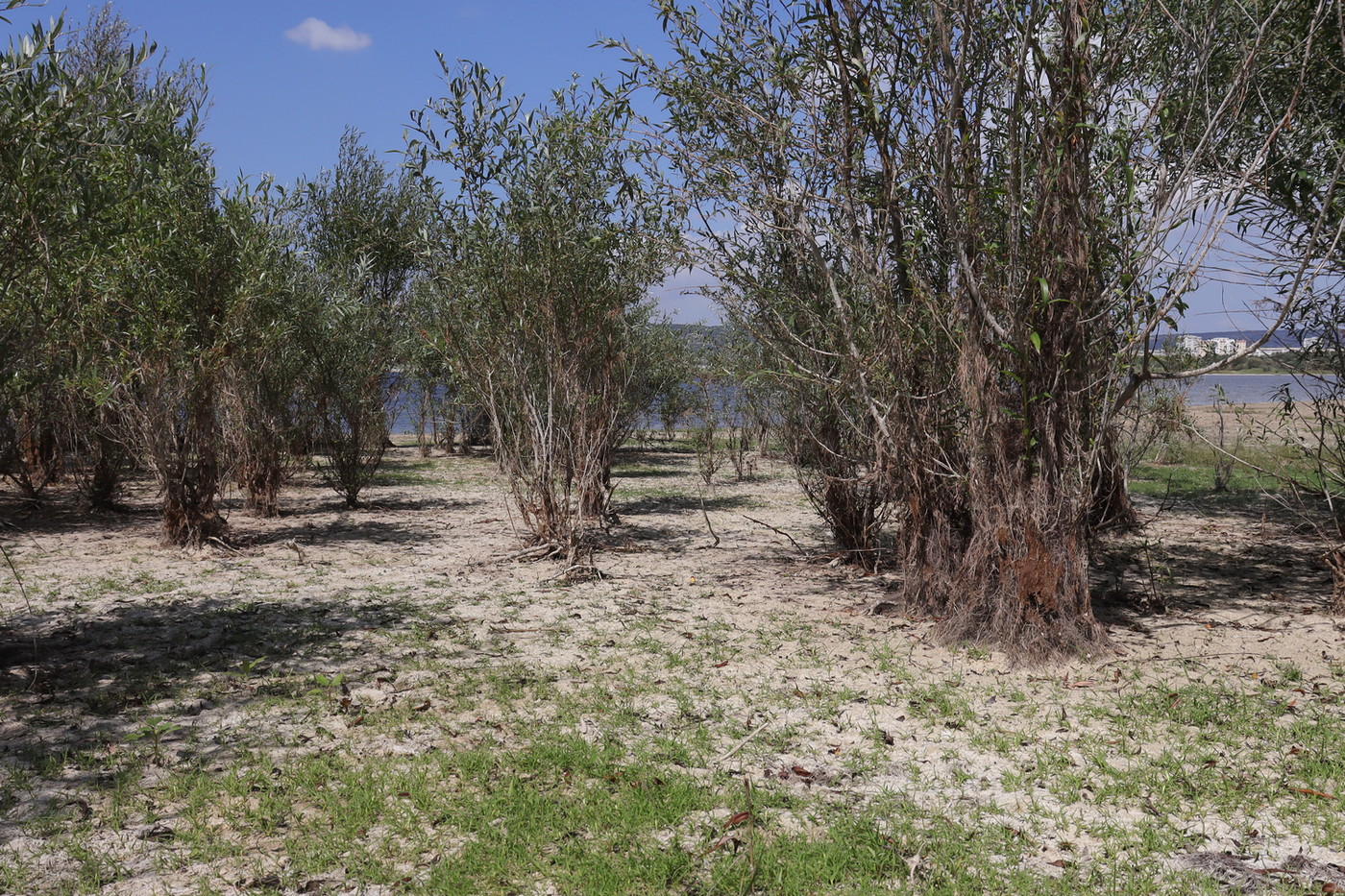 Эгиз-Оба, image of landscape/habitat.