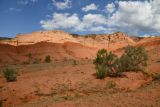 Image of landscape