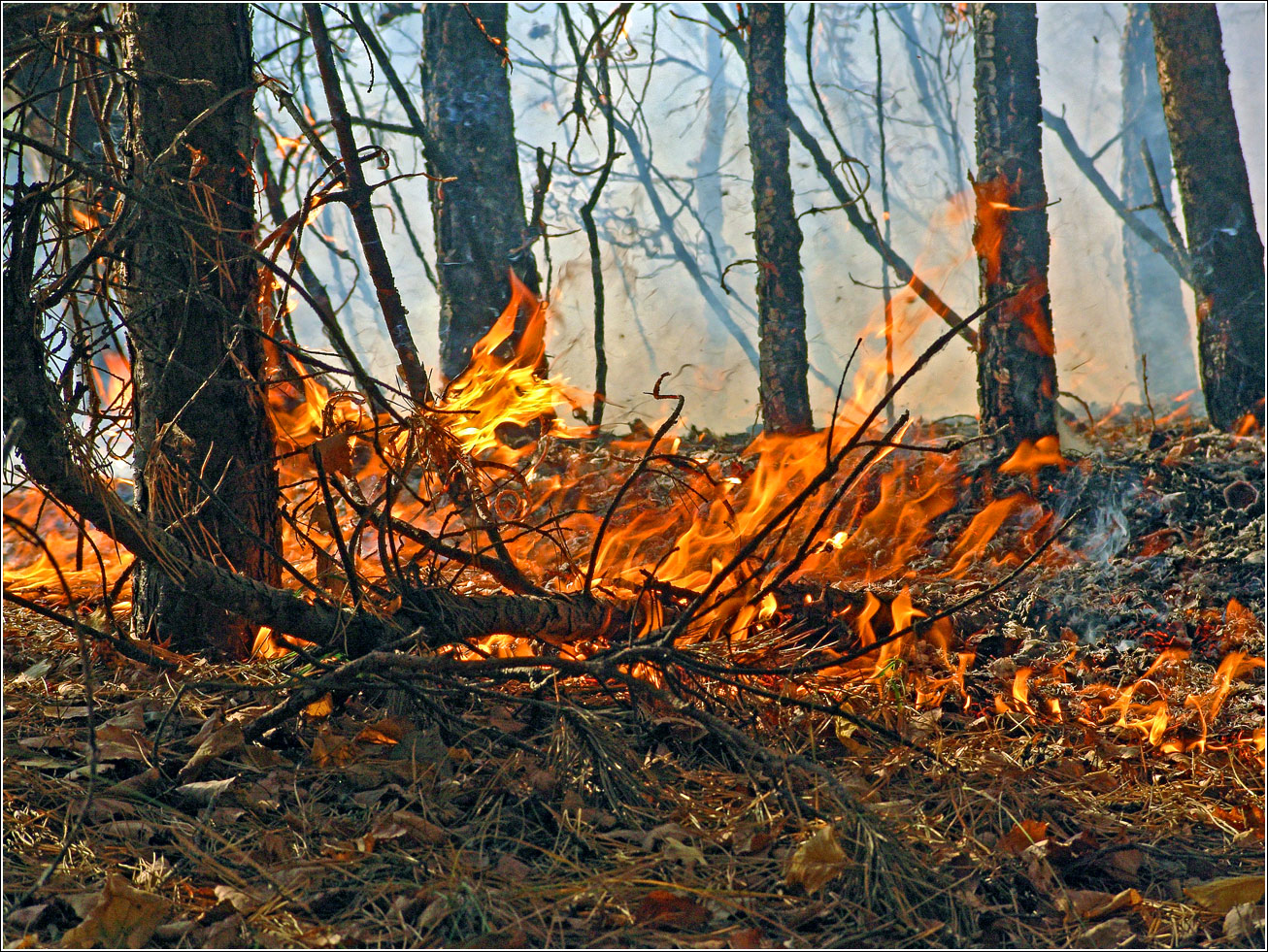 Окрестности Хрипани, изображение ландшафта.