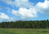 Семинский перевал, image of landscape/habitat.