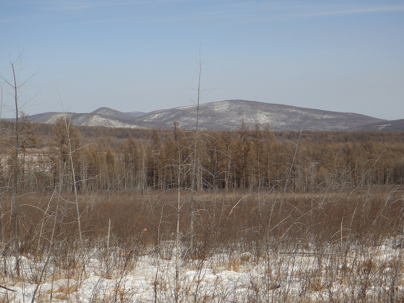 Окрестности Северного, image of landscape/habitat.