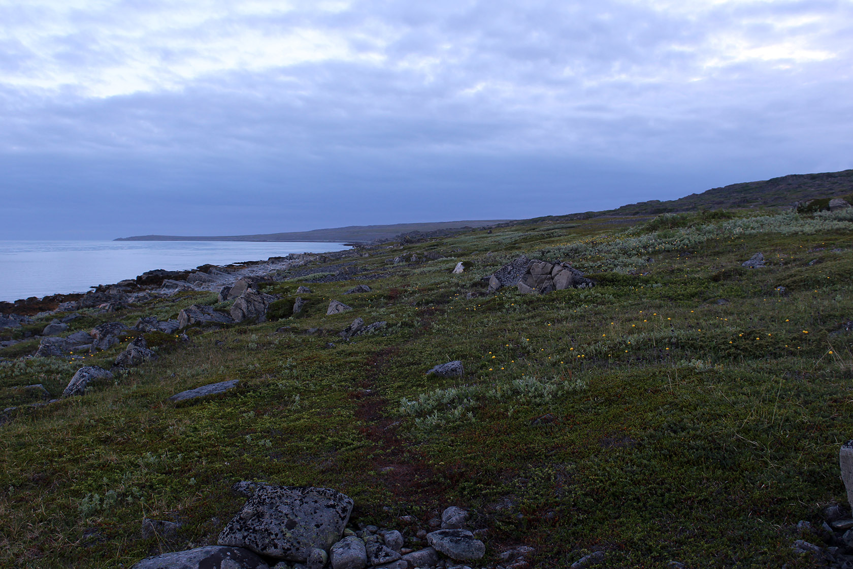 Большая Волоковая губа, image of landscape/habitat.