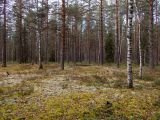 Image of landscape