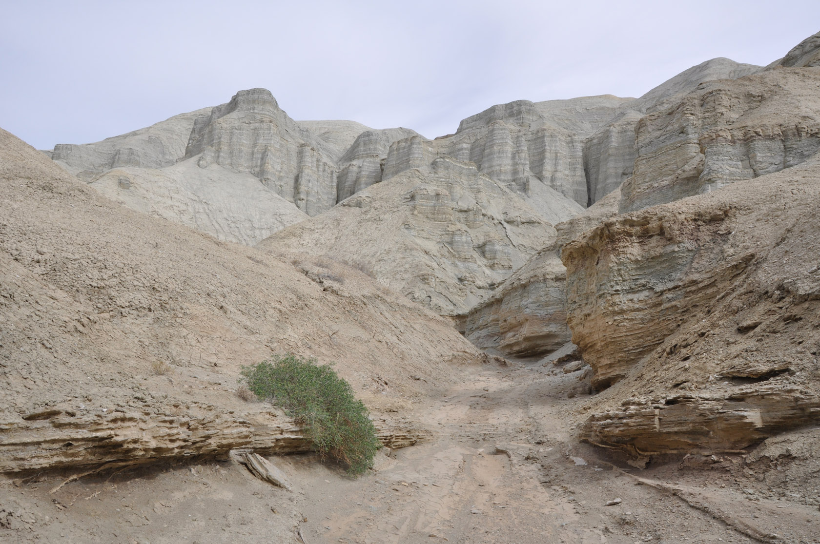 Горы Актау (Алтын-Эмель), image of landscape/habitat.