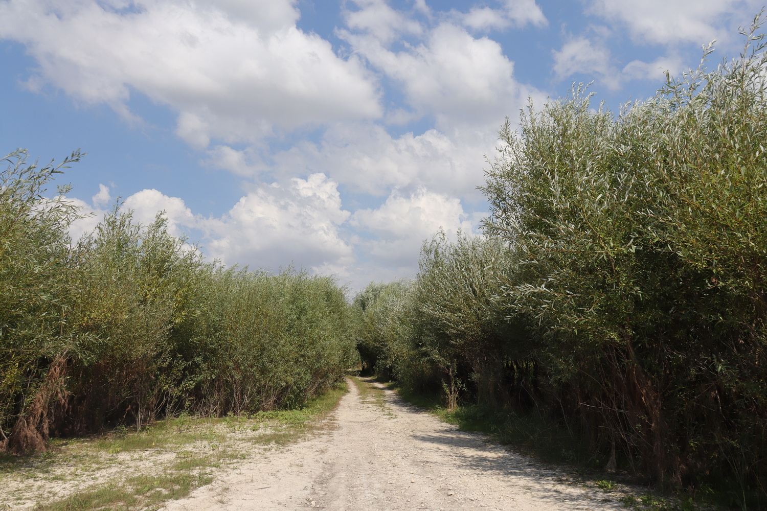 Эгиз-Оба, image of landscape/habitat.