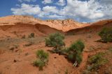 Image of landscape