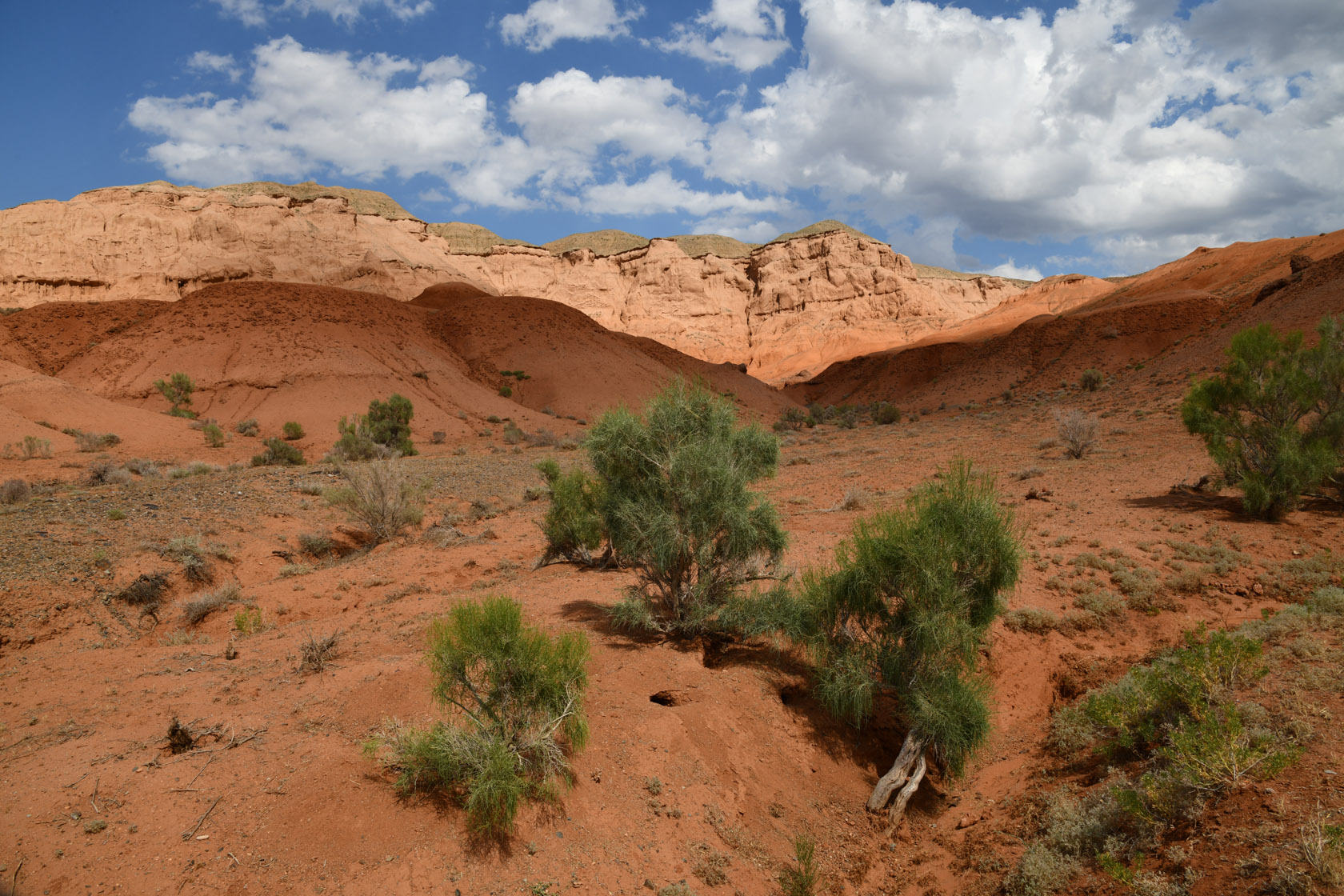 Горы Улькен-Богуты, image of landscape/habitat.