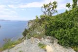 Image of landscape