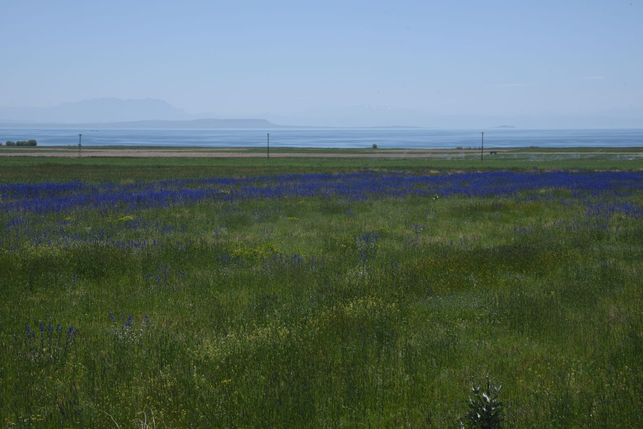 Айдынлар, image of landscape/habitat.