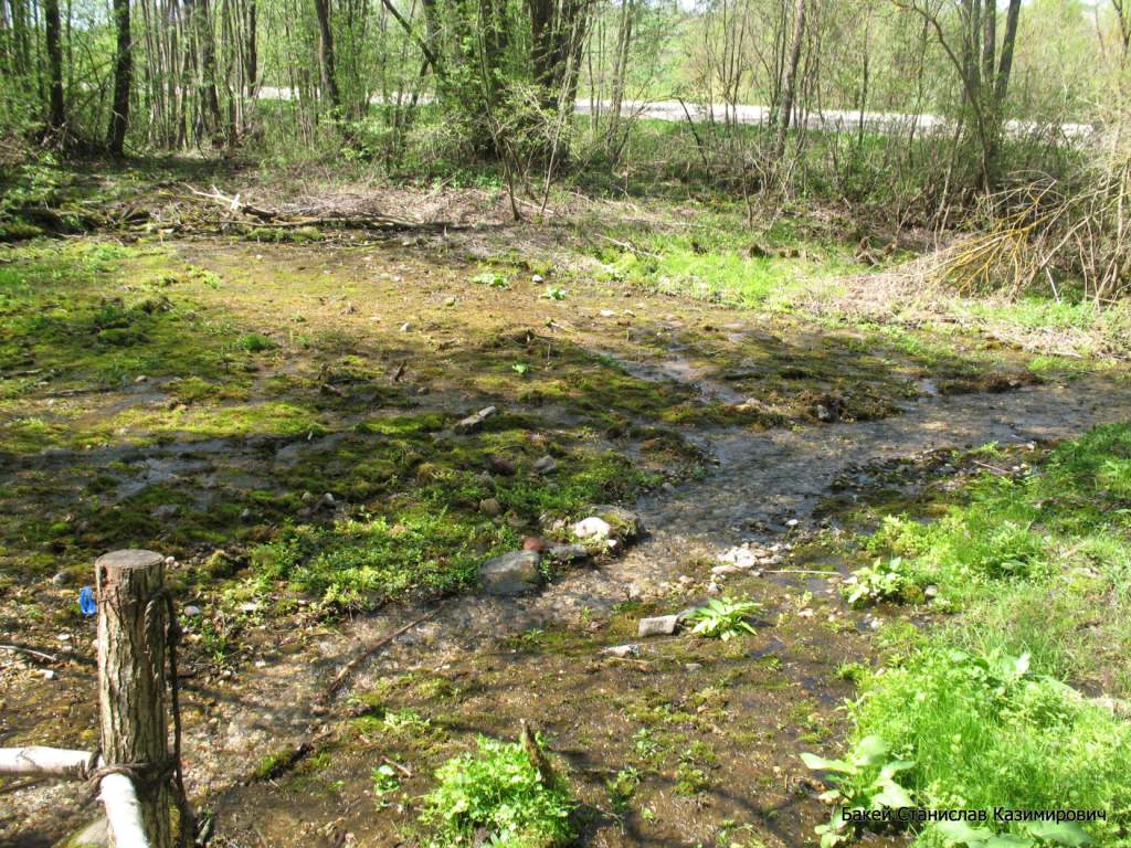 Святой источник, image of landscape/habitat.
