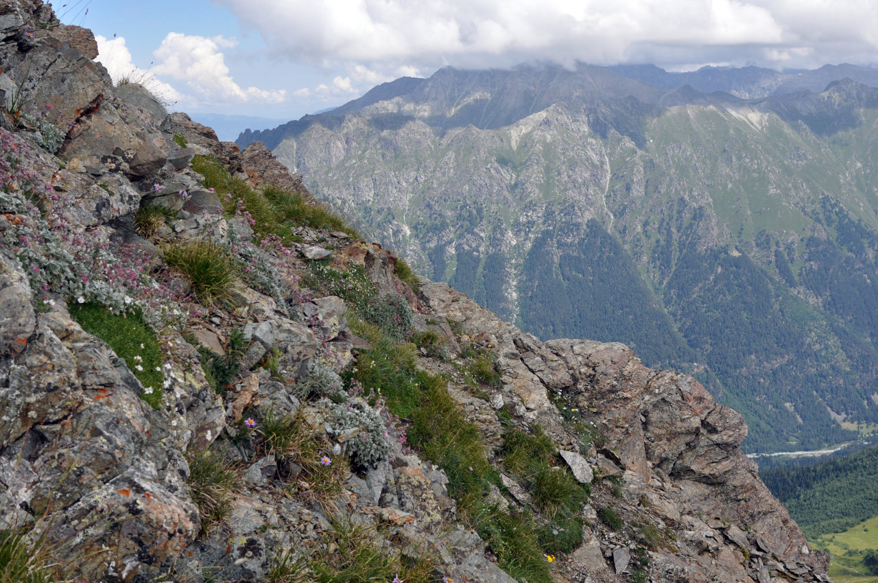 Вершина горы Мусса-Ачитара, image of landscape/habitat.
