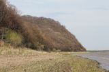 Image of landscape