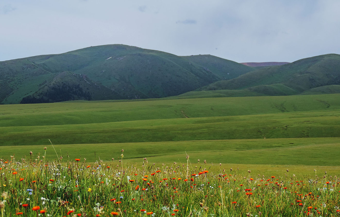 Плато Ассы, image of landscape/habitat.