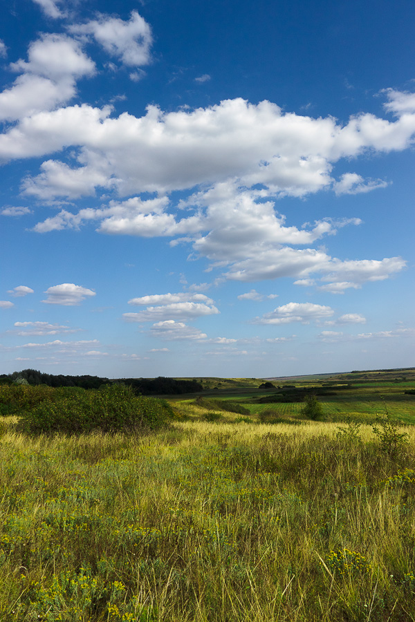 Тузловские склоны, image of landscape/habitat.