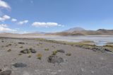 Image of landscape