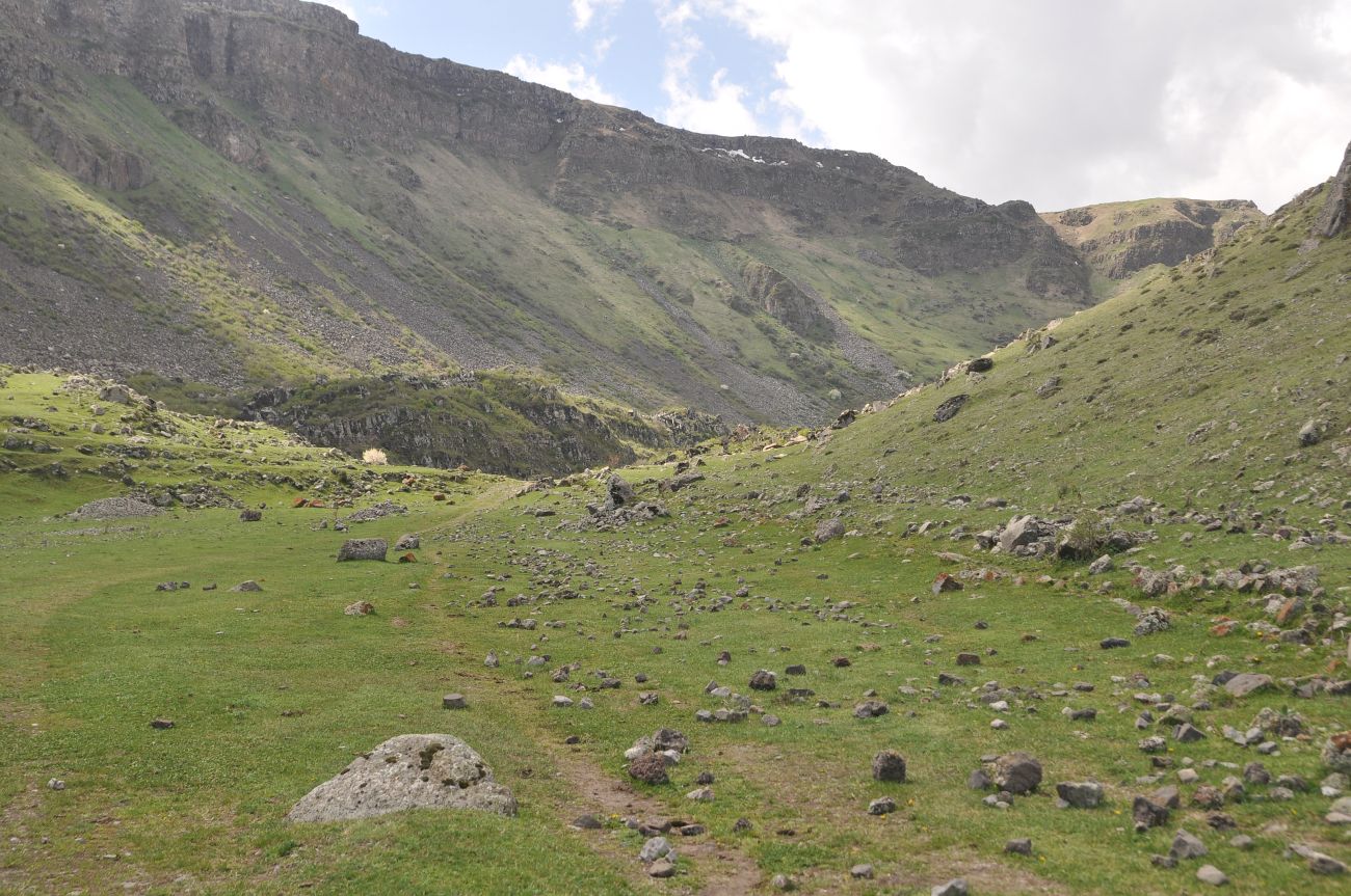 Окрестности села Тмогви, image of landscape/habitat.