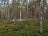 Image of landscape