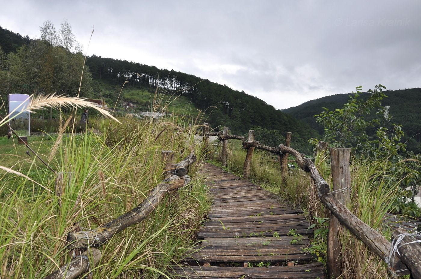 Далат, image of landscape/habitat.