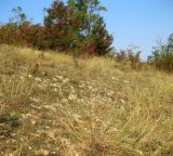Image of landscape