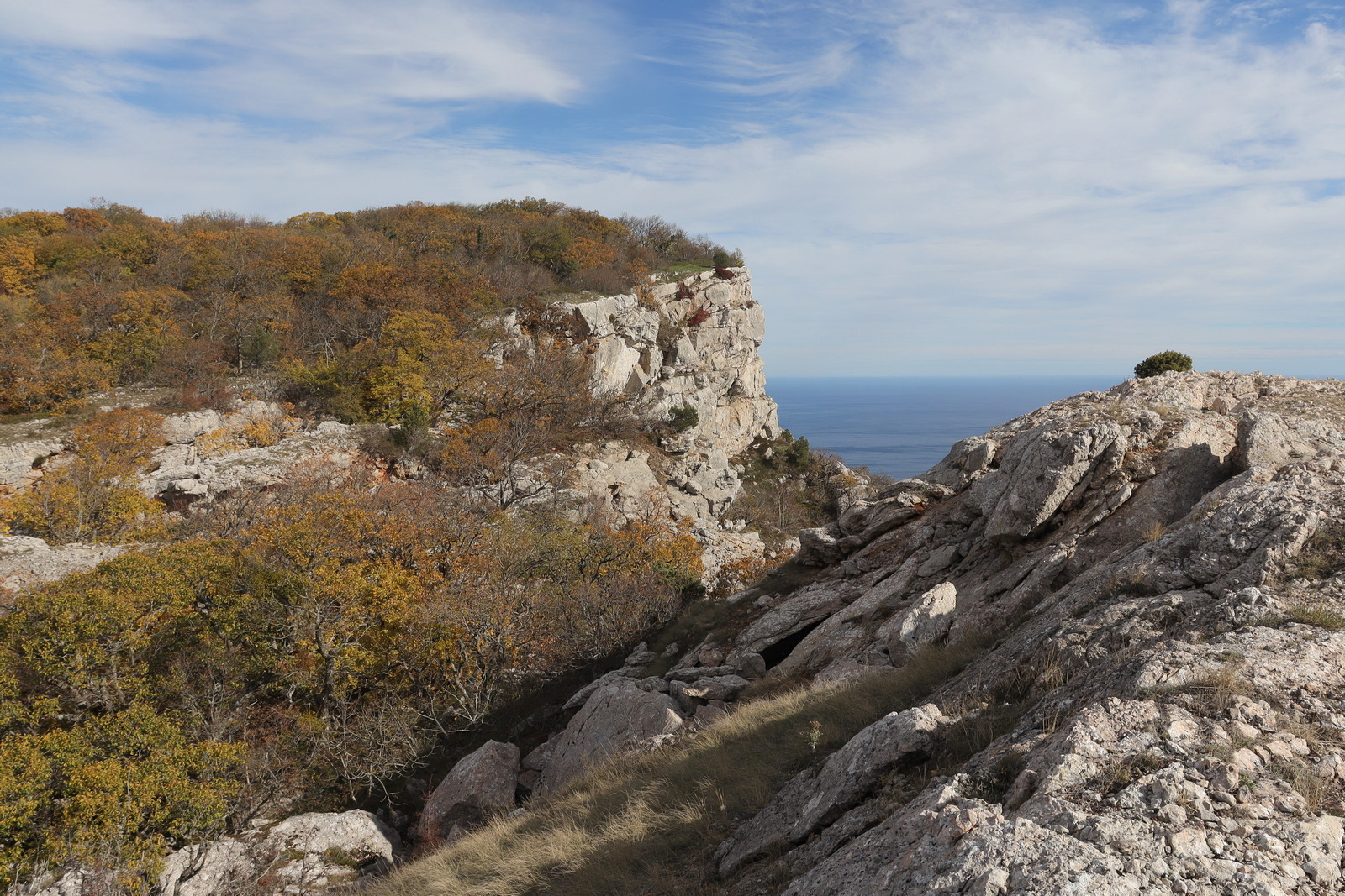Байдарская Яйла, image of landscape/habitat.
