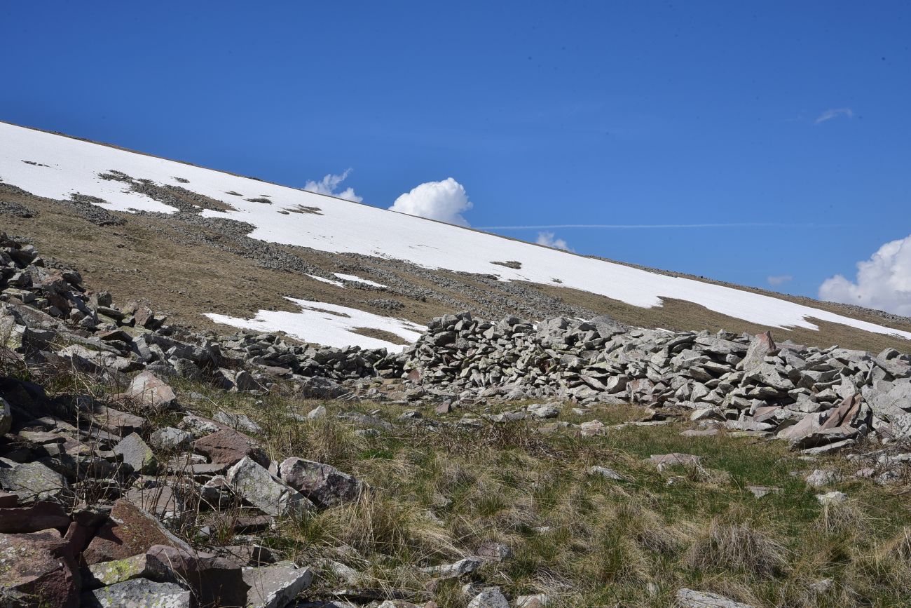 Крепость Кероглы, image of landscape/habitat.