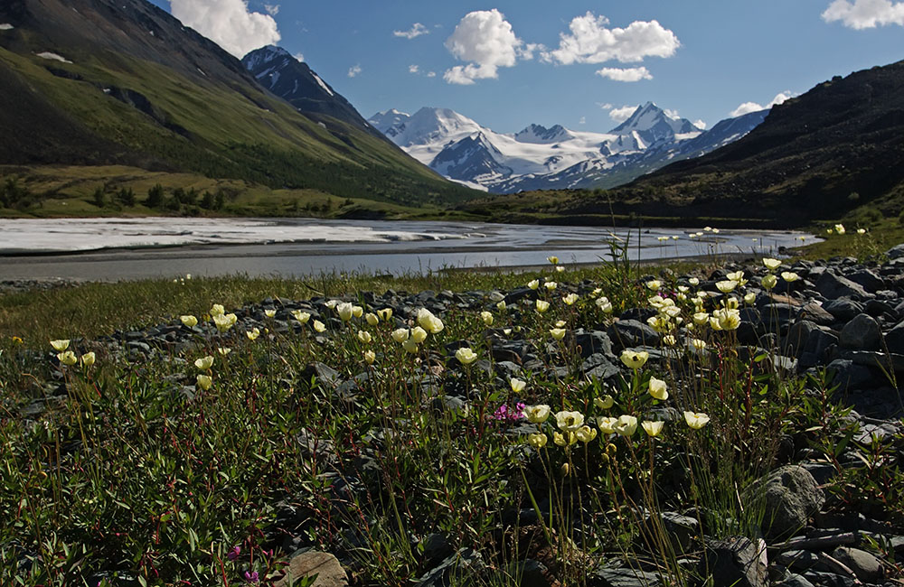 Талтура, image of landscape/habitat.