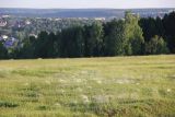 Кунгур, image of landscape/habitat.