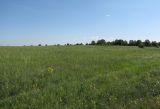 Image of landscape