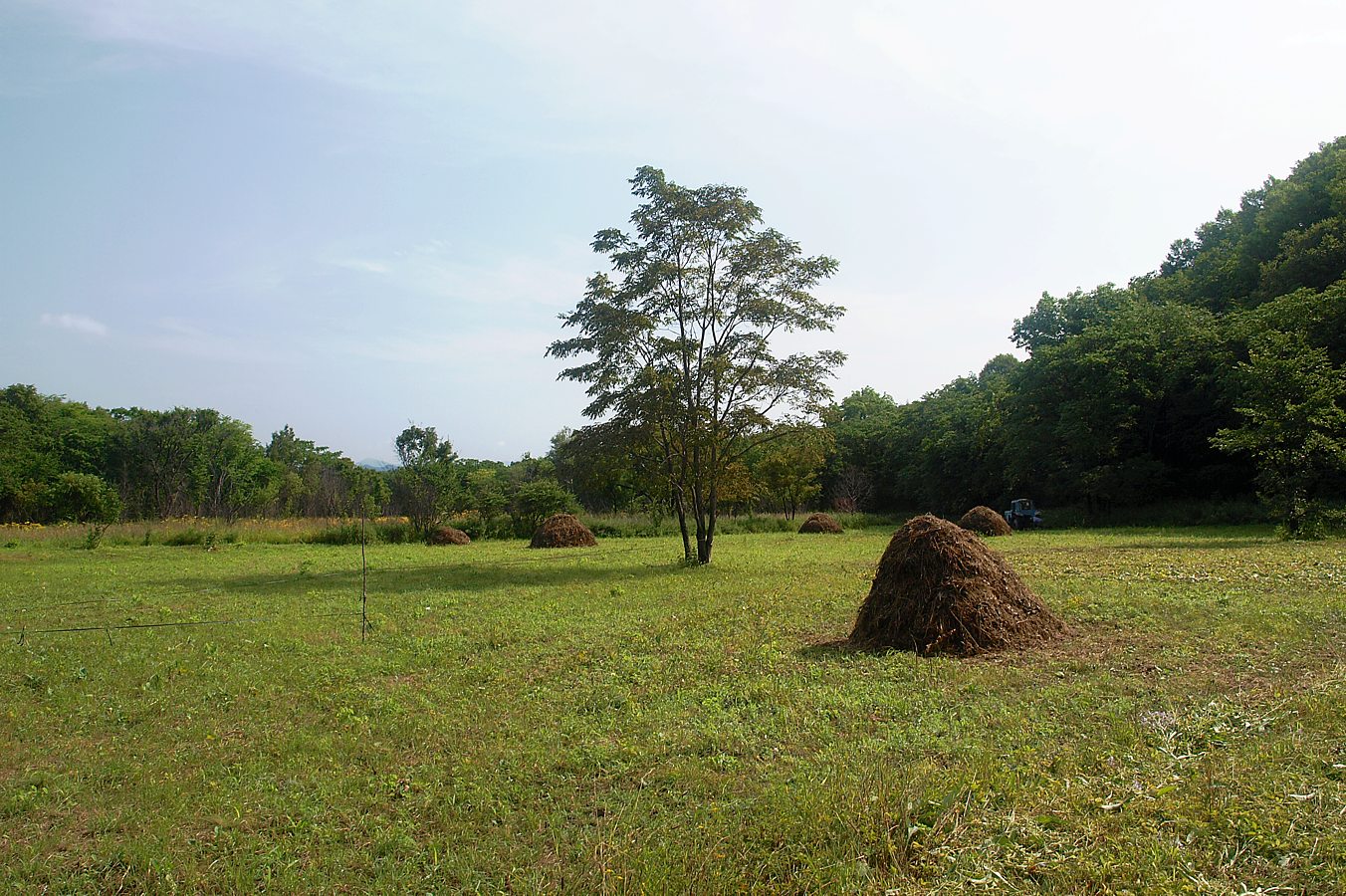 Кордон Карпадь, image of landscape/habitat.