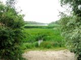 Image of landscape