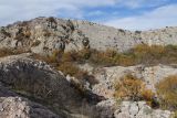 Байдарская Яйла, image of landscape/habitat.