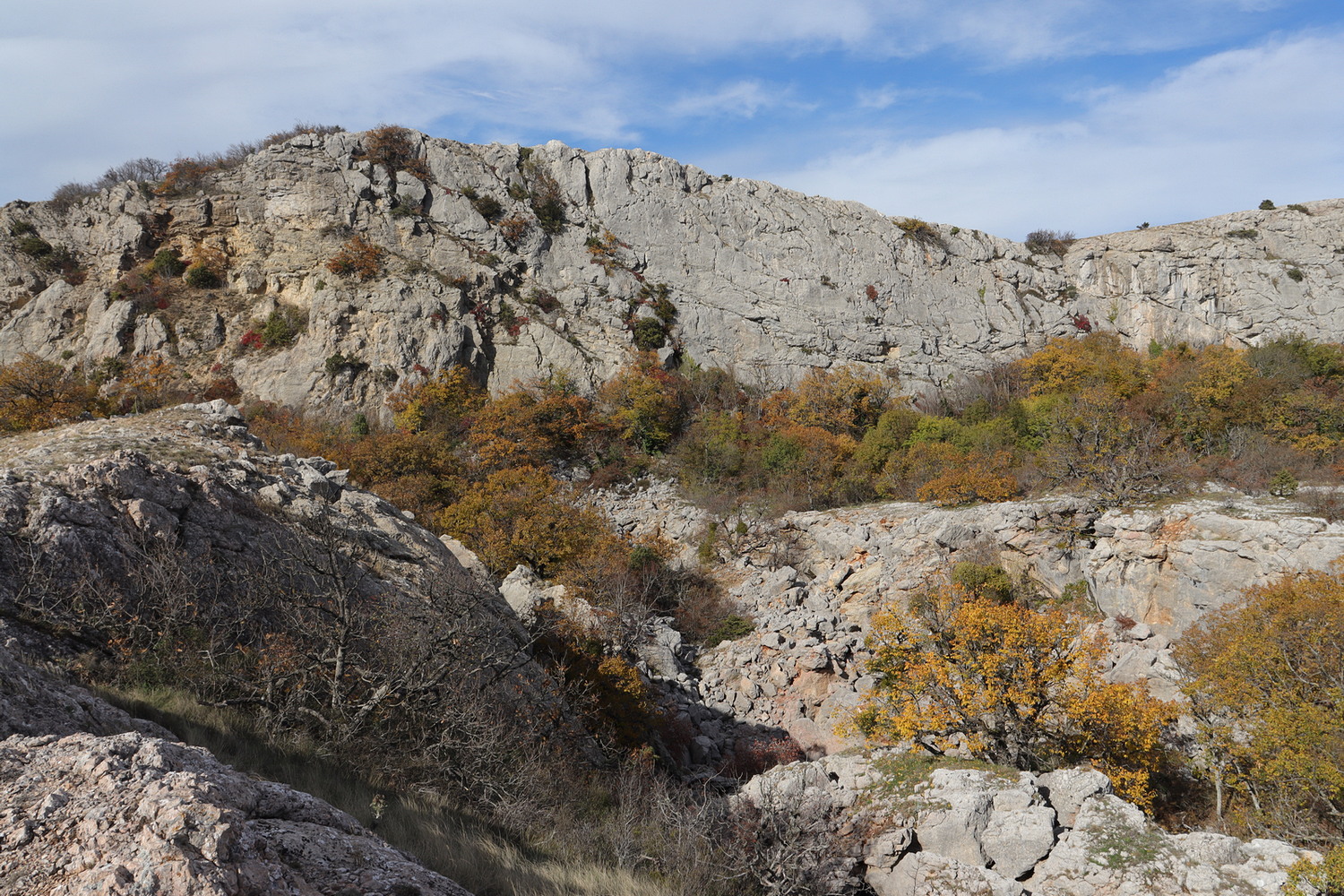 Байдарская Яйла, image of landscape/habitat.