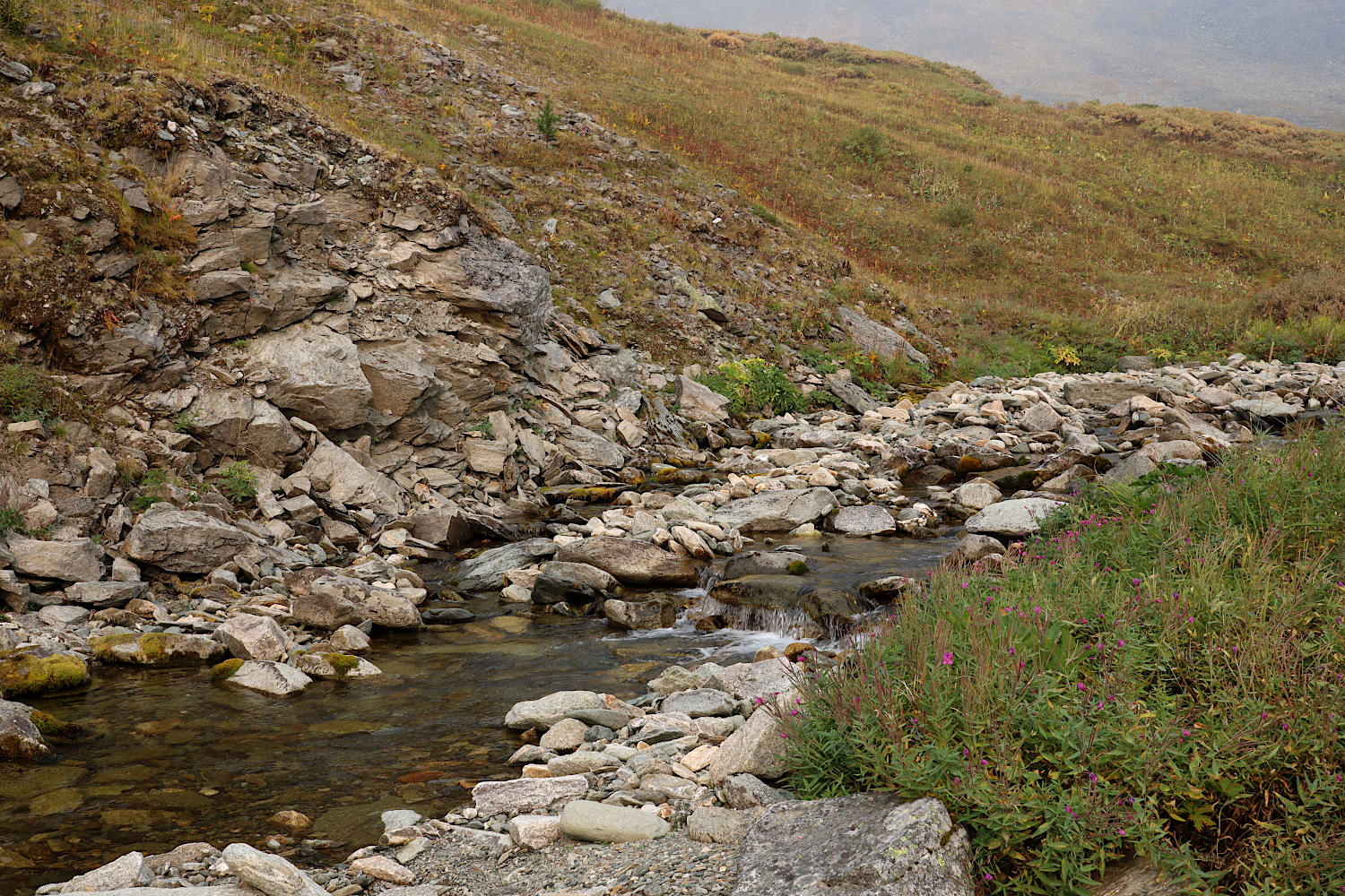 Верховья ручья Правый Ханмейшор, image of landscape/habitat.