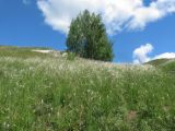 Image of landscape