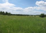 Image of landscape